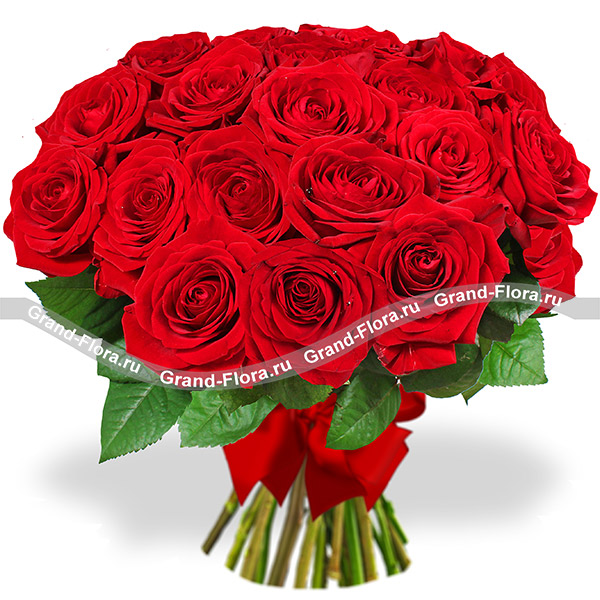 17 красных роз - букет из красных роз